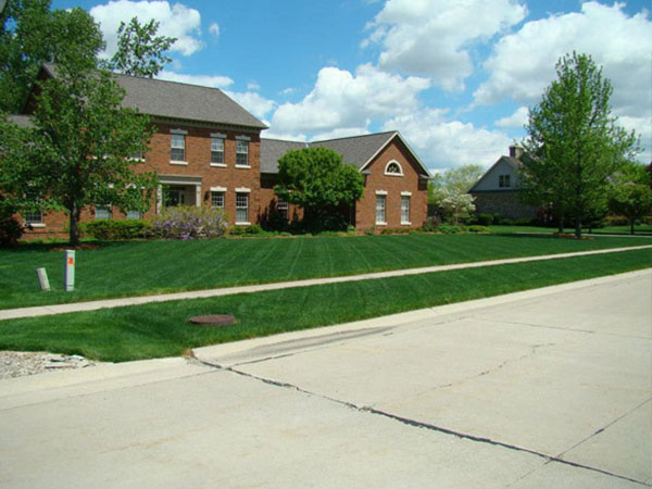 Houses with Lawns